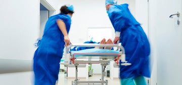 Máster Online en Salud Pública y One Health | UAX