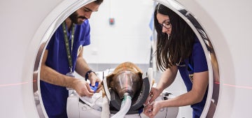 Carrera de Veterinaria en universidad privada en madrid