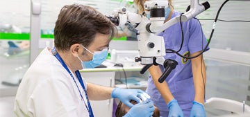 Máster en Odontopediatría | UAX
