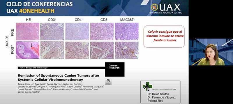 conferencia onehealth uax sobre cancer